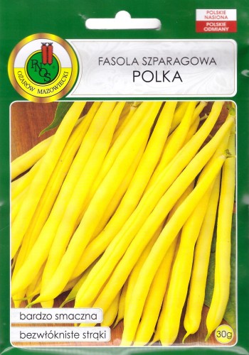 fasola polka.jpg