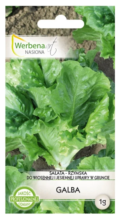 sałata-galba.webp