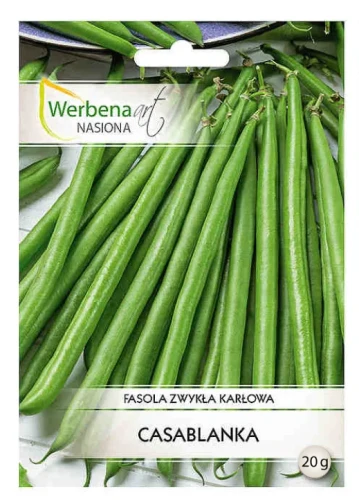 Fasola-Casablanca.webp