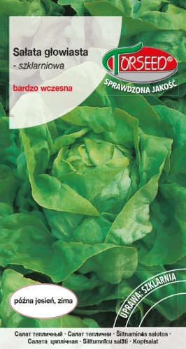 Sałata-Anielka.webp