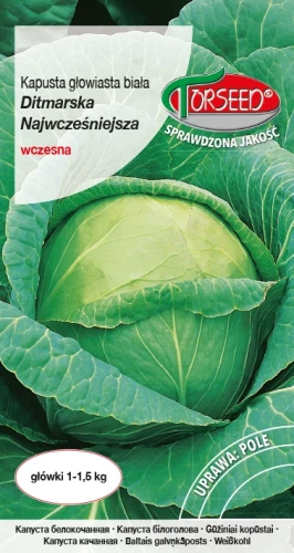 Kapusta-biała-Ditmarska-Najwcześniejsza.webp