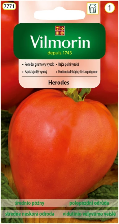 pomidor Herodes.jpg