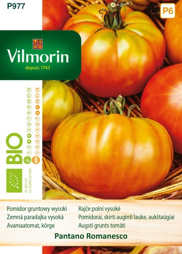 pomidor Pantano Romanesco.jpg