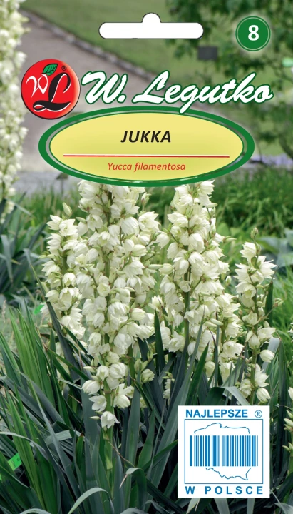 Jukka.webp