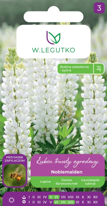 łubin-trwały-noblemaiden.webp