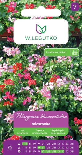 pelargonia-bluszczolistna-mix.webp