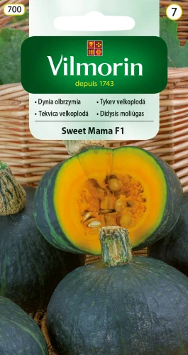 dynia-sweet-mama.webp