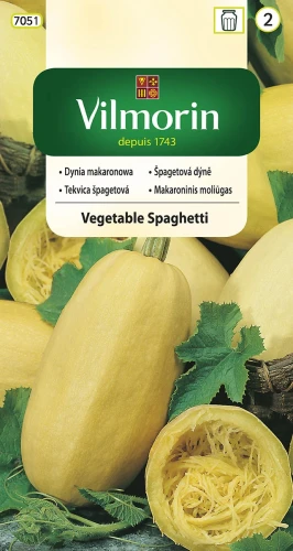 dynia-vegetable-spaghetti.webp