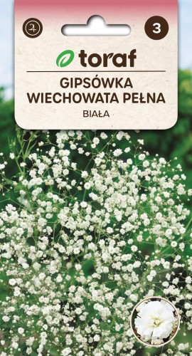 Gipsówka wiechowata pełna biała.jpg