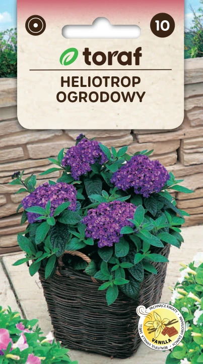 Heliotrop ogrodowy.png