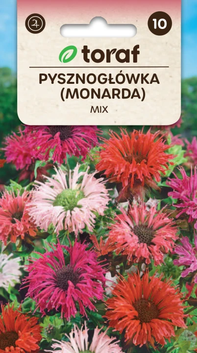 Pysznogłówka MONARDA.png