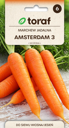 Marchew AMSTERDAM 3.png