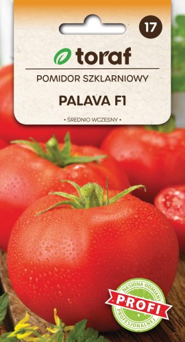 Pomidor szklarniowy PALAVA F1.jpg