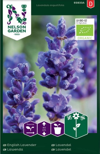 lawenda_waskolistna_nelson_garden.jpg
