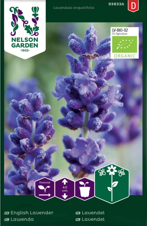 lawenda_waskolistna_nelson_garden.jpg