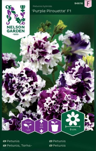 petunia purple pirouette.jpg
