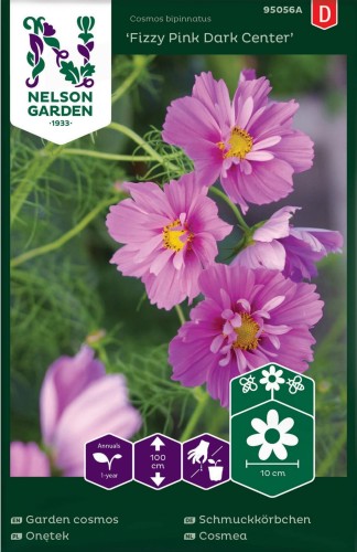 onetek_kosmos_fizzy_pink_dark_center_wisniowy_z_ciemniejszym_srodkiem_nelson_garden.jpg