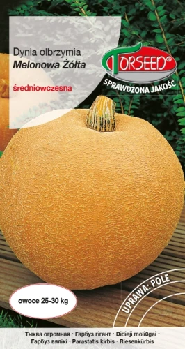 Dynia-Melonowa-Żółta.webp