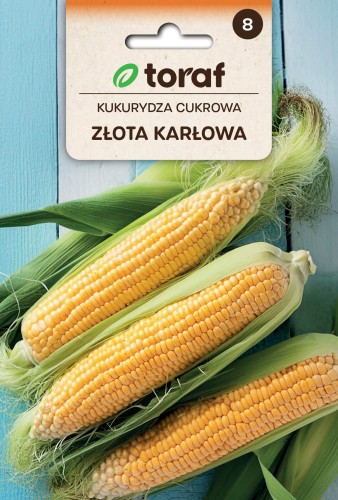Kukurydza cukrowa ZŁOTA KARŁOWA.jpg