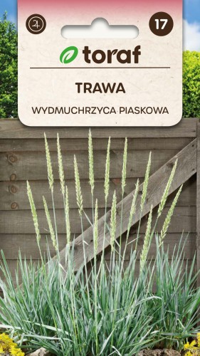 Trawa WYDMUCHRZYCA PIASKOWA.jpg