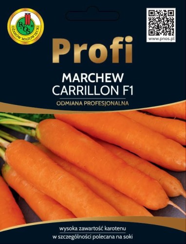 marchew carrillon.JPG