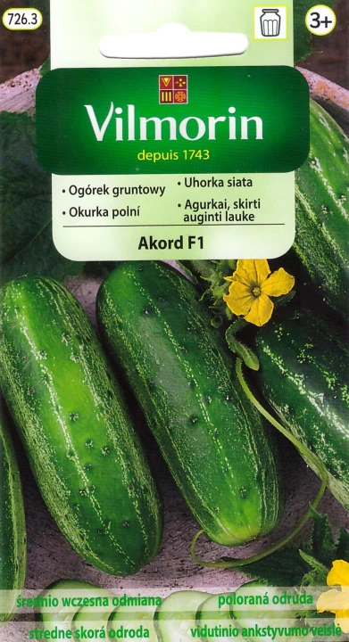 ogórek akord.jpg