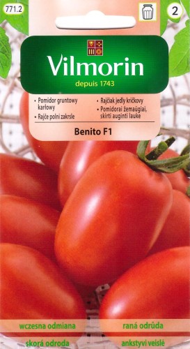 pomidor benito.jpg