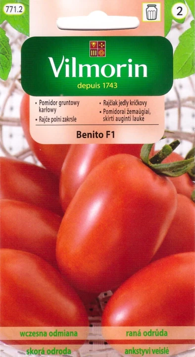 pomidor benito.jpg