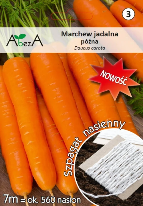 Marchew późna.jpg