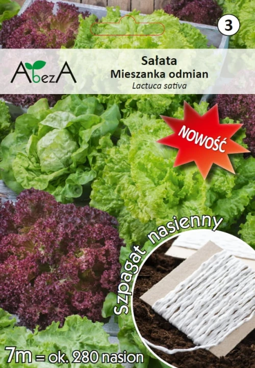 Sałata mix kolorowych.jpg