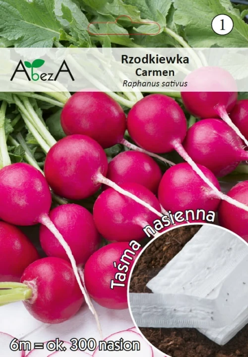 Rzodkiewka Carmen.jpg