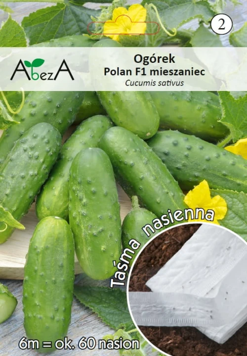 Ogórek Polan.jpg