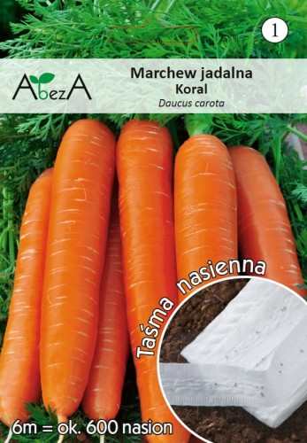 Marchew Koral.jpg