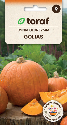 Dynia golias.png
