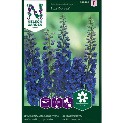 ostrozka_wyniosla_blue_donna_niebieskia_nelson_garden.jpg