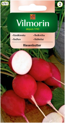 rzodkiewka riesenbutter.jpg