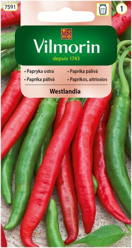 papryka westlandia.jpg