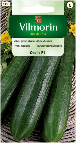 ogórek Obelix.jpg