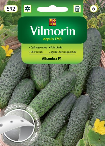 ogórek Alhambra na taśmie.jpg