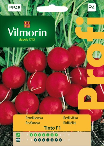 rzodkiewka Tinto.jpg
