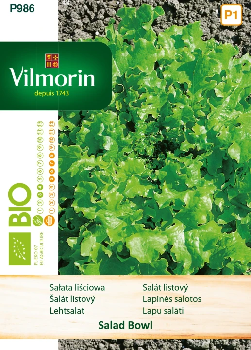 sałata salad bowl bio.jpg
