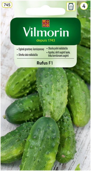 ogórek Rufus.jpg