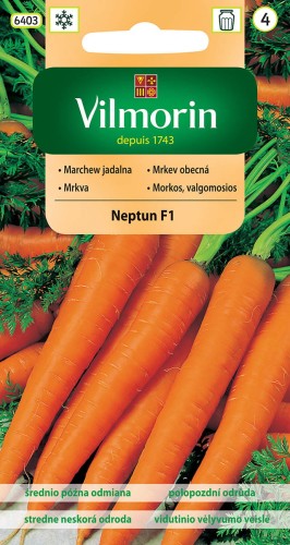marchew Neptun.jpg