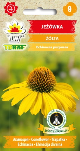 Jeżówka ŻÓŁTA.jpg