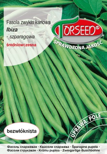 Fasola szparagowa Ibiza.jpg