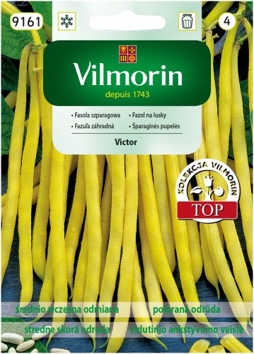 fasola Victor.jpg