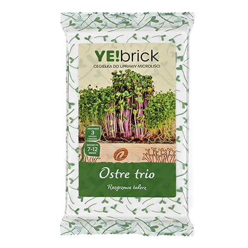 YEbrick-ostre-trio.jpg