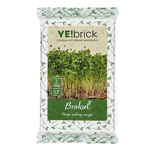 YEbrick-brokul.jpg