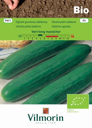 ogórek Vert long maraicher.jpg