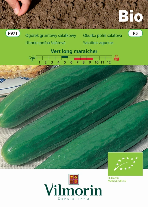 ogórek Vert long maraicher.jpg